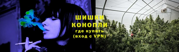 амф Вязьма