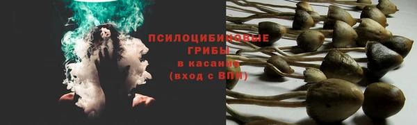 таблы Пролетарск