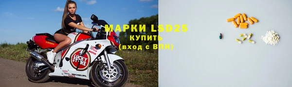 амф Вязьма