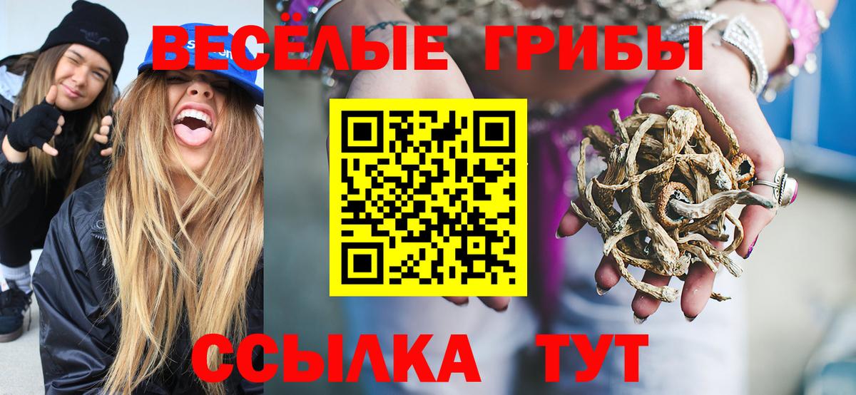 что такое наркотик  Галлюциногенные грибы ЛСД  Вход с VPN  Знаменск 