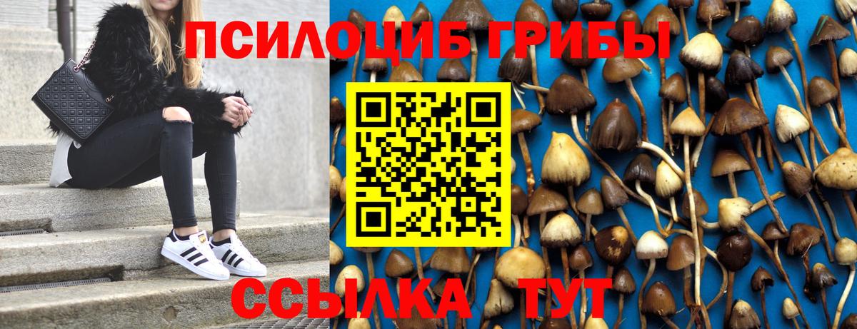 Псилоцибиновые грибы MAGIC MUSHROOMS  купить наркотики сайты  Галлюциногенные грибы GOLDEN TEACHER  Знаменск 