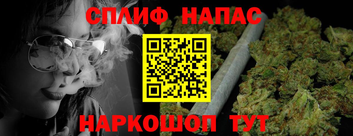 Бошки марихуана сатива Знаменск